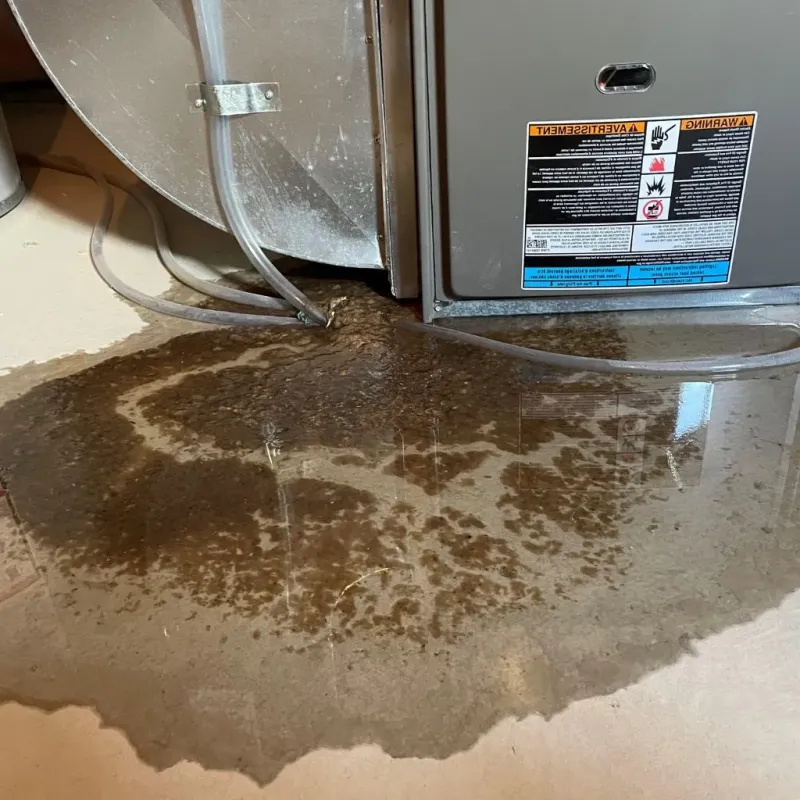 Pipe Burst and Leak Restoration in North Riverside, IL